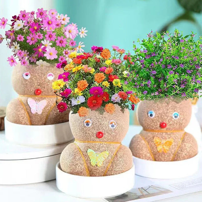 Figure Plants - Learn to care for plants - Home Decoration Plants